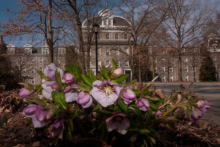 Spring flowers in front of Parrish Hall