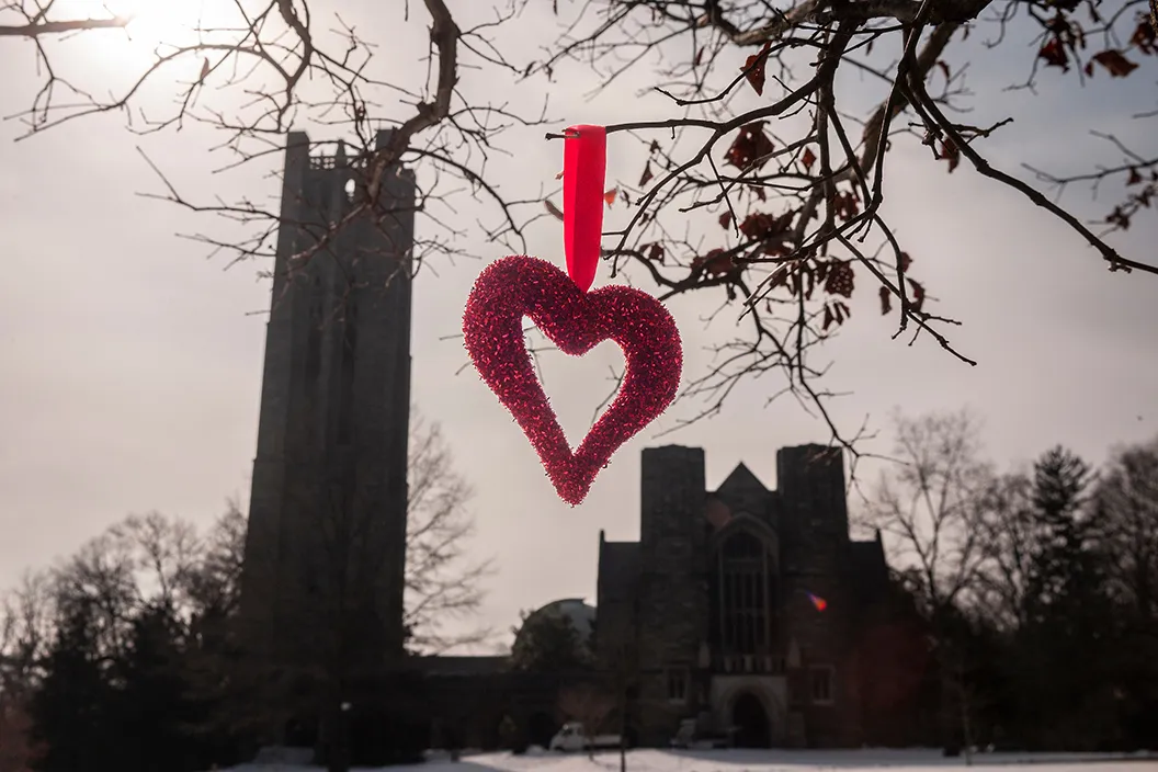 valentine heart hanging on tree