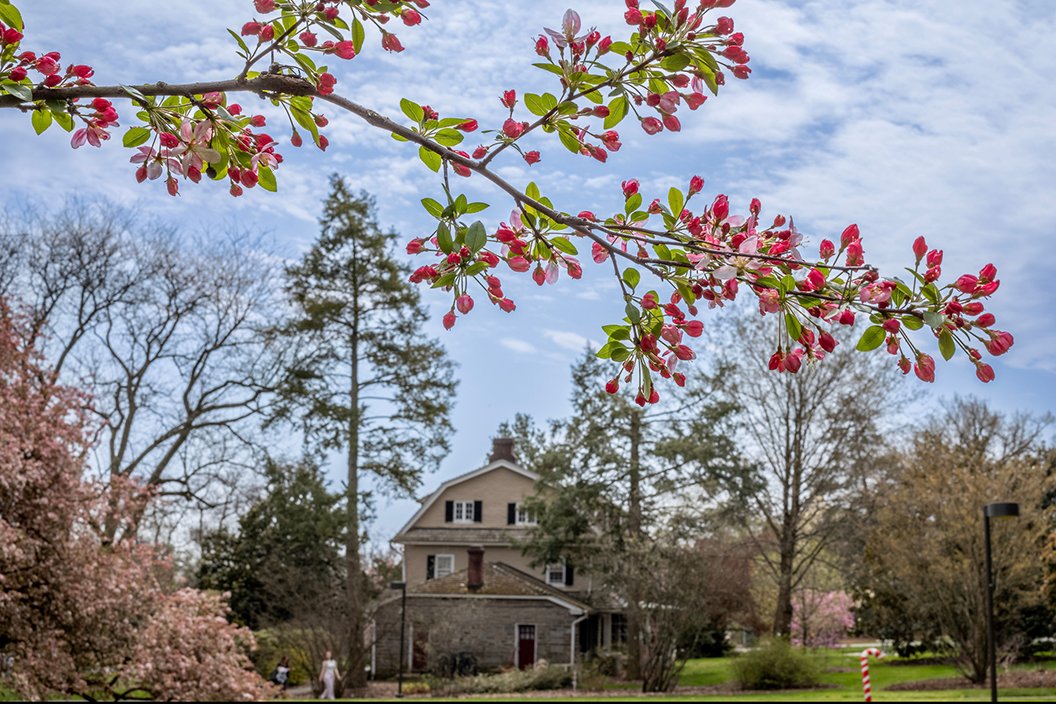 Red flowers bloom on branch with Ben West in background