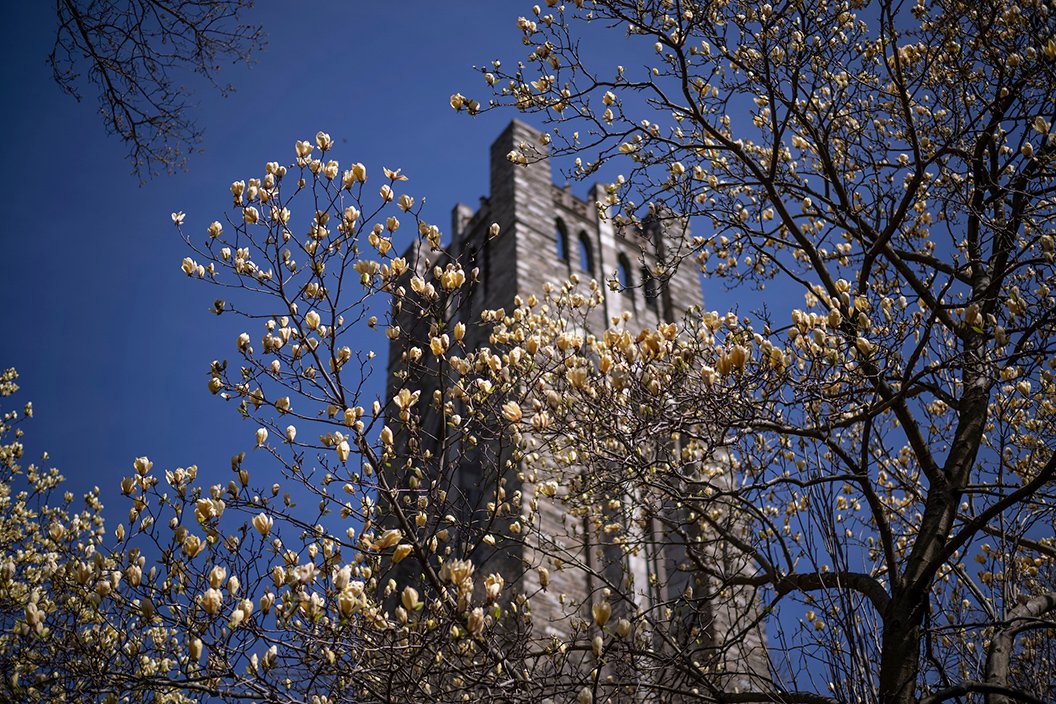 Clothier Bell tower in background, spring bloom in foreground