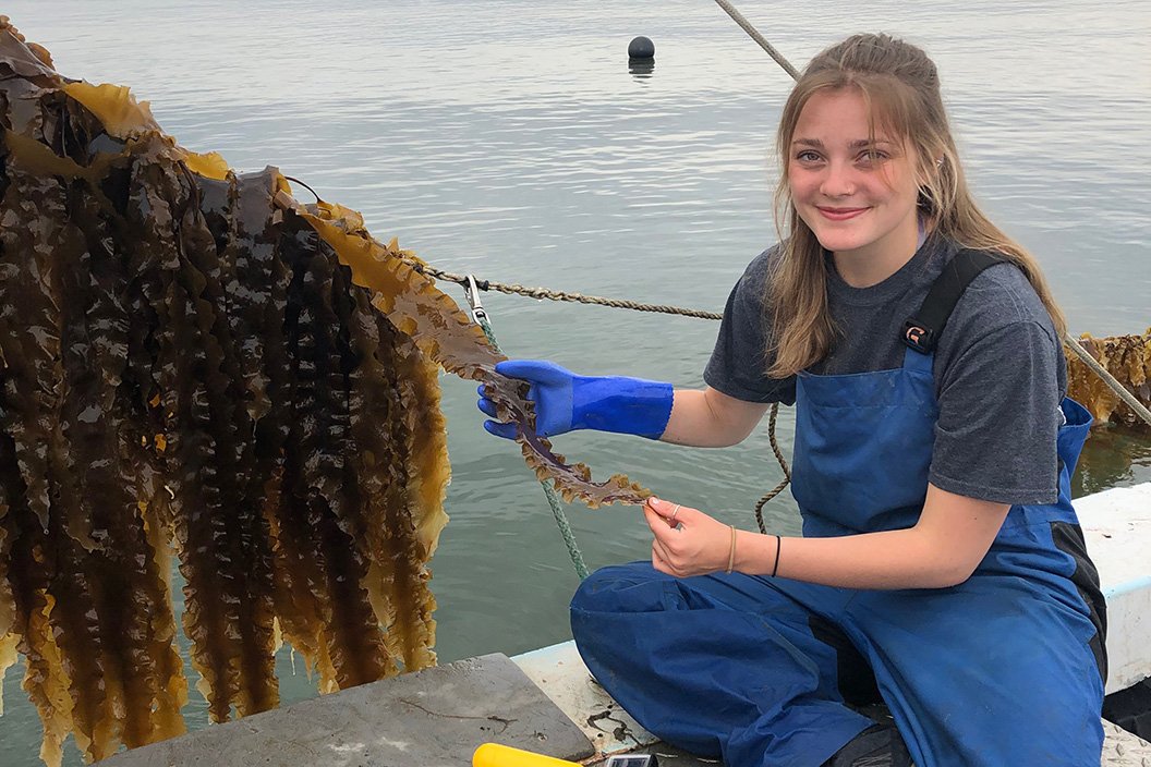 Meagan Currie '20 sorts through kelp on a boat