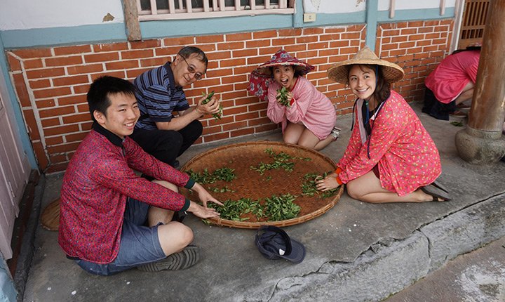 Professor Haili Kong and students learn to make tea 