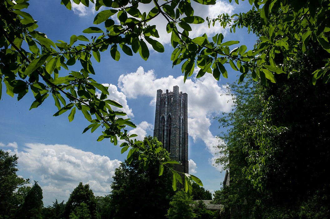 Bell tower in background with blue skies. Green leaves in foreground