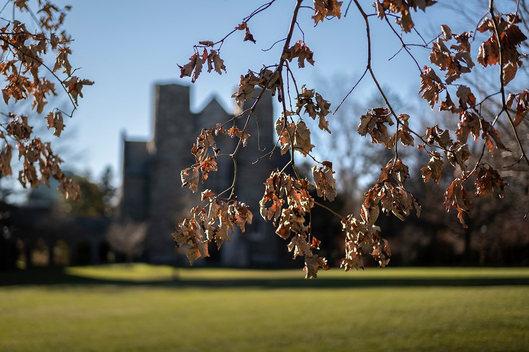 Withered leaves in foreground with Clothier Belltower in background