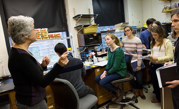 Biology professor Kathy Siwicki in her lab