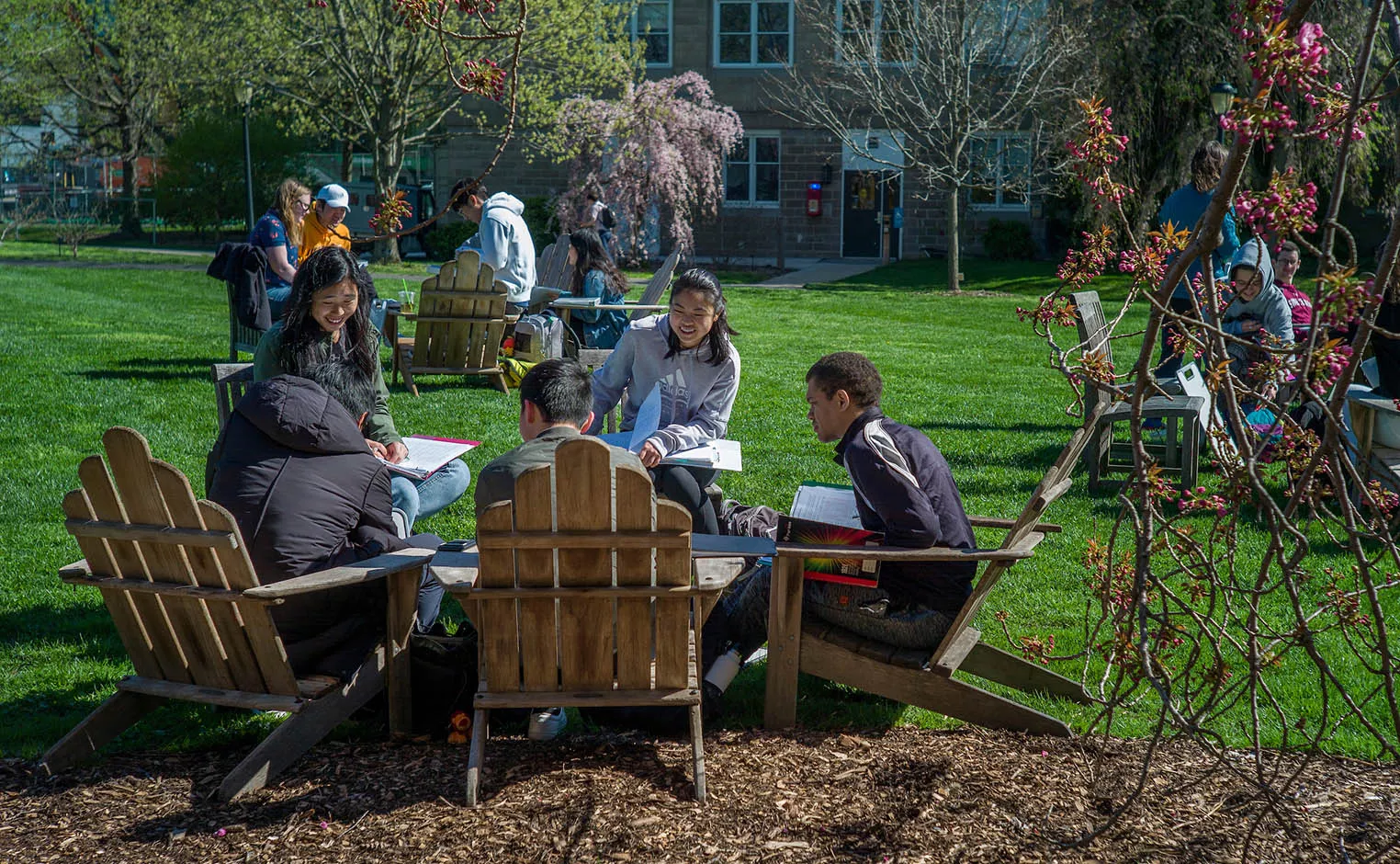 students studying