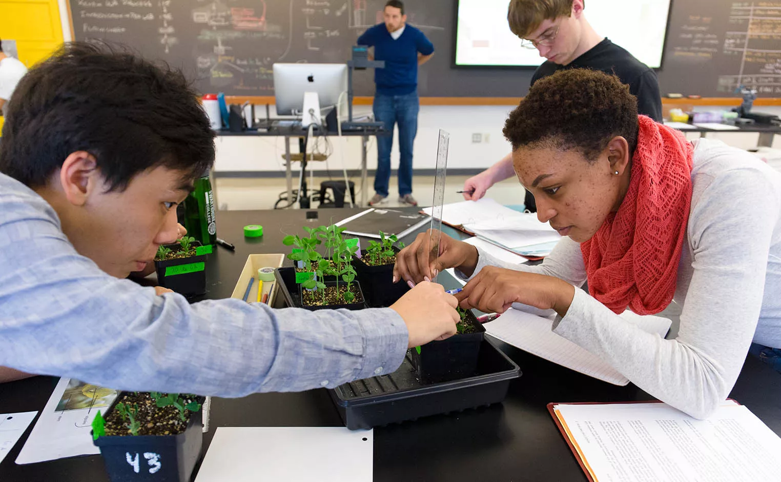 students working in a lab