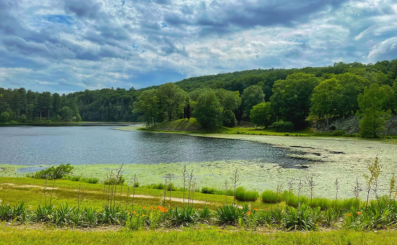 landscape in NY