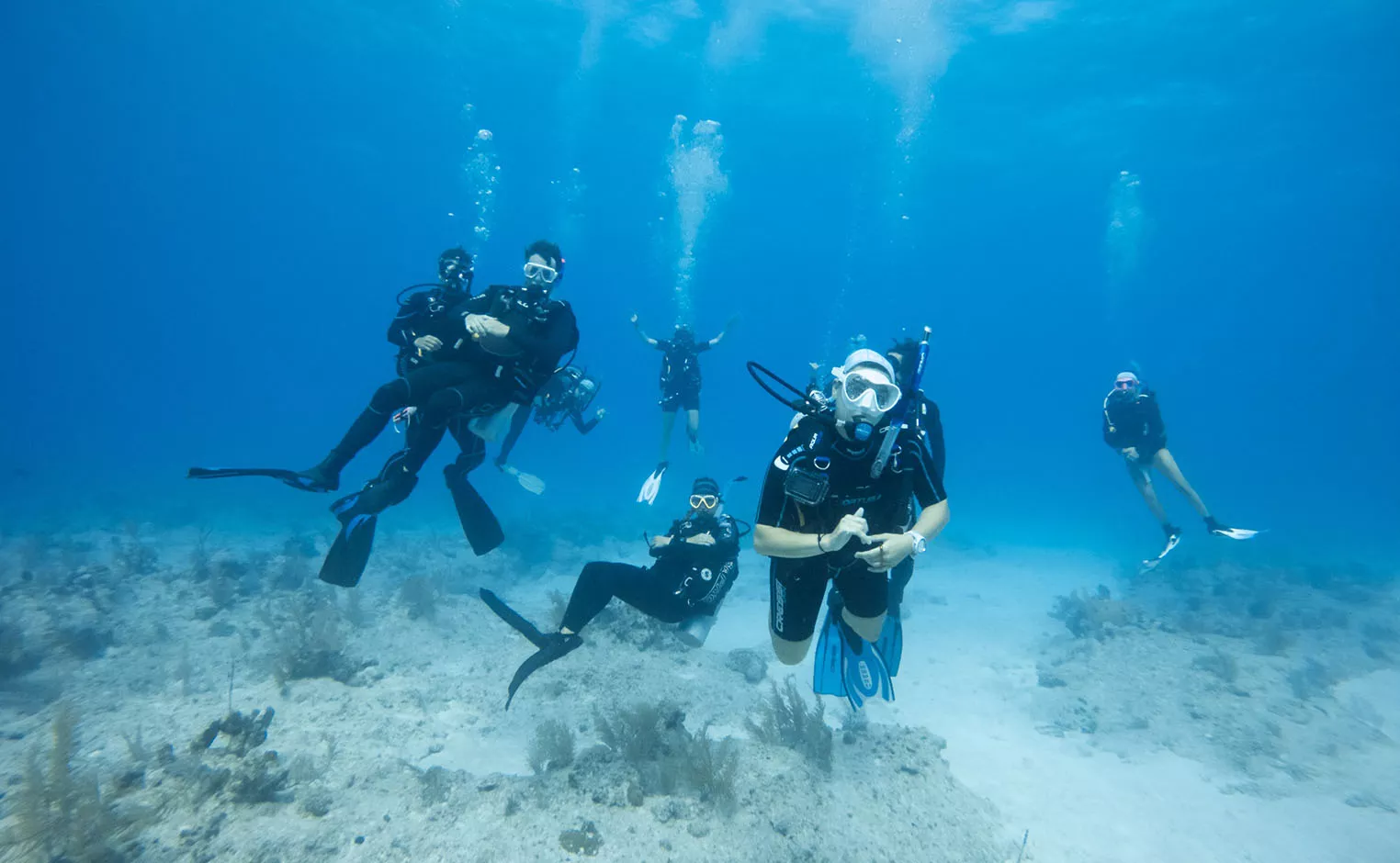 students scubadiving