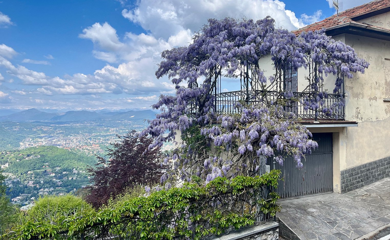 Building covered by flowery purple vine on mountain peak overlooking town