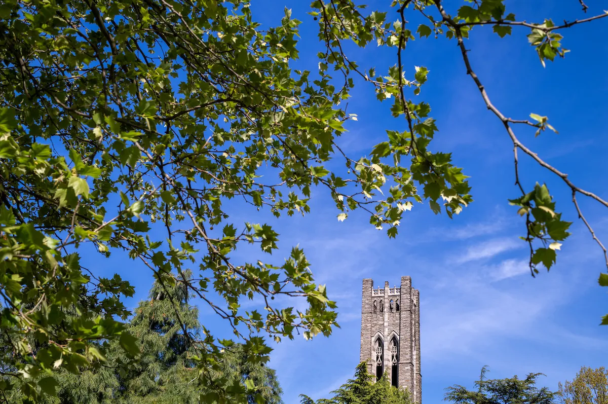Framed by the branches of an oak tree, Clothier Hall stands against a blue sky.