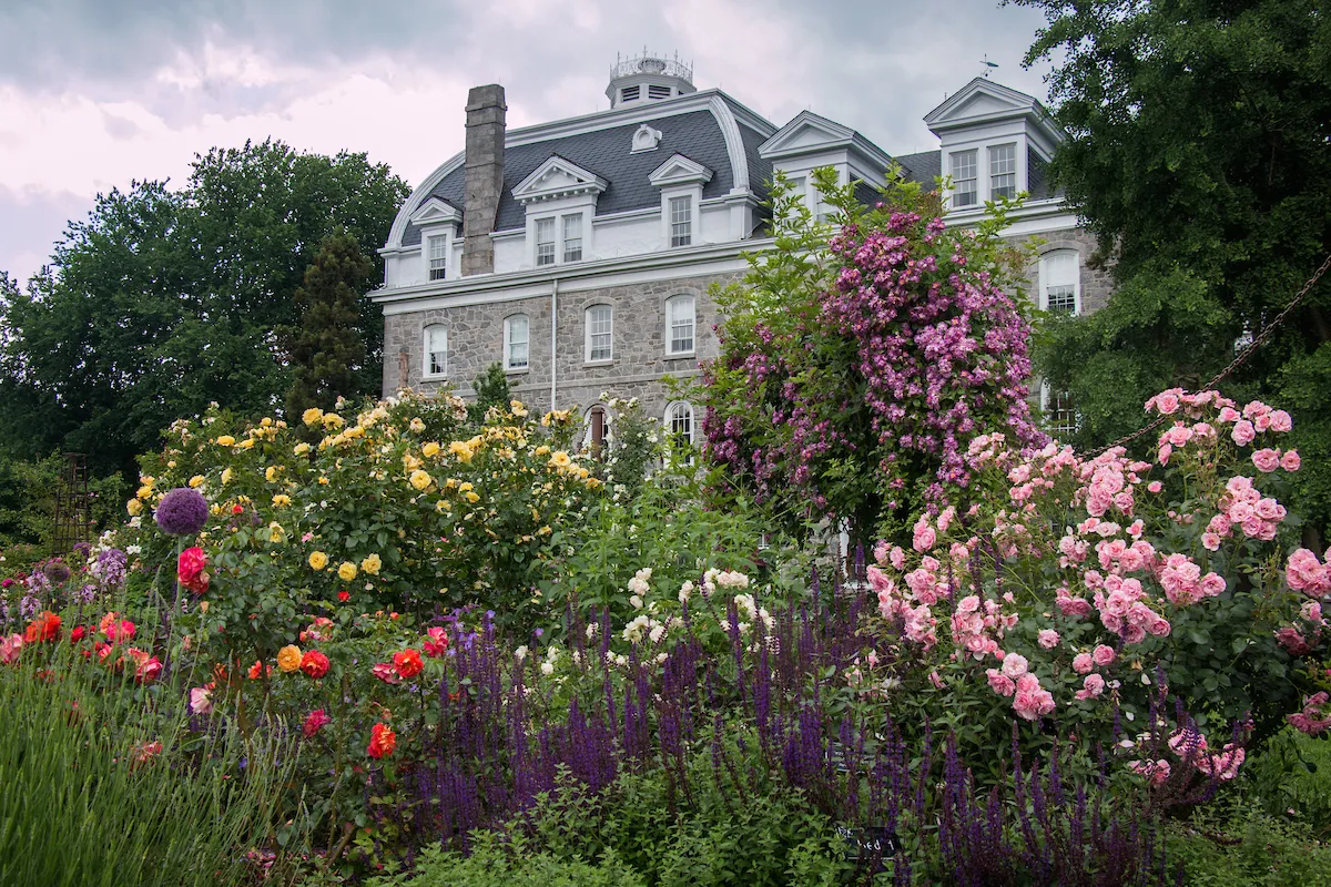 Parrish Hall with flowers in front of it