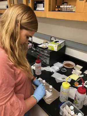 Hillary Smith's lab