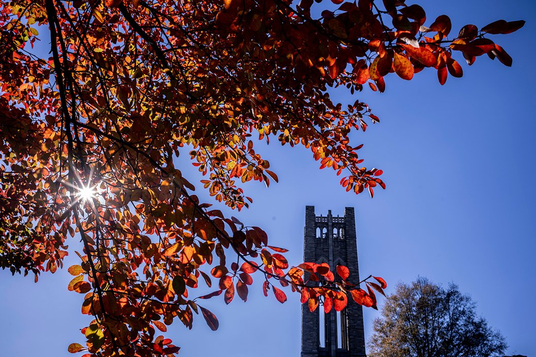 Sun in the sky obscured by fall foliage with Clothier Belltower standing in background against blue sky.