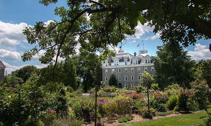 A rose garden in the foreground with Parrish Hall in the background