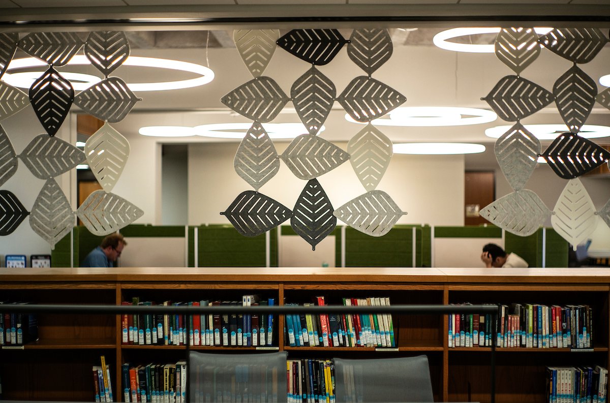 Hanging sculpture and bookshelves at McCabe library