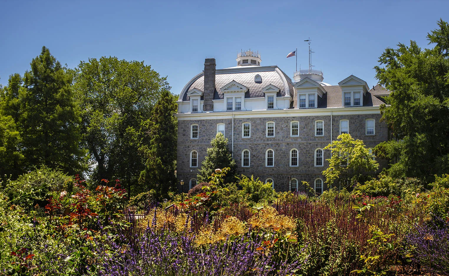 rose garden in front of parrish hall