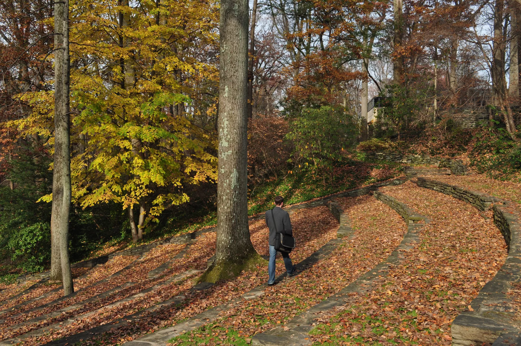 person walking in amphitheater on fallen leaves