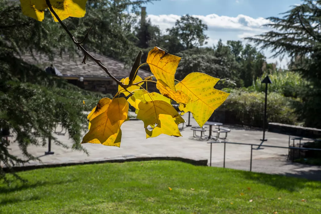 sharples in fall