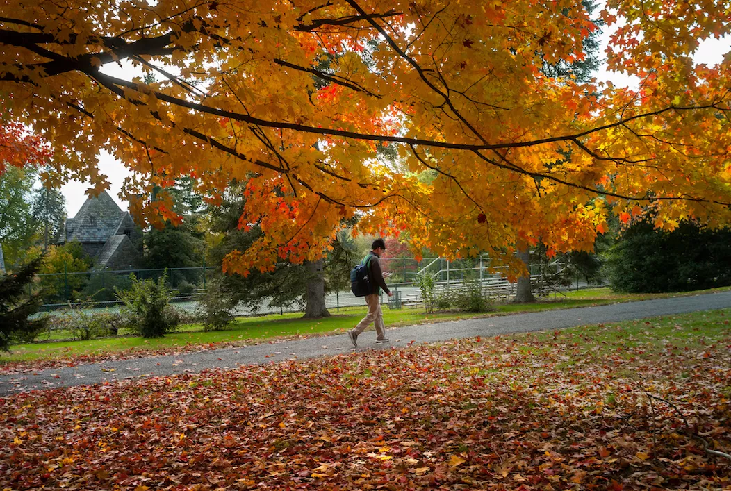 campus in fall
