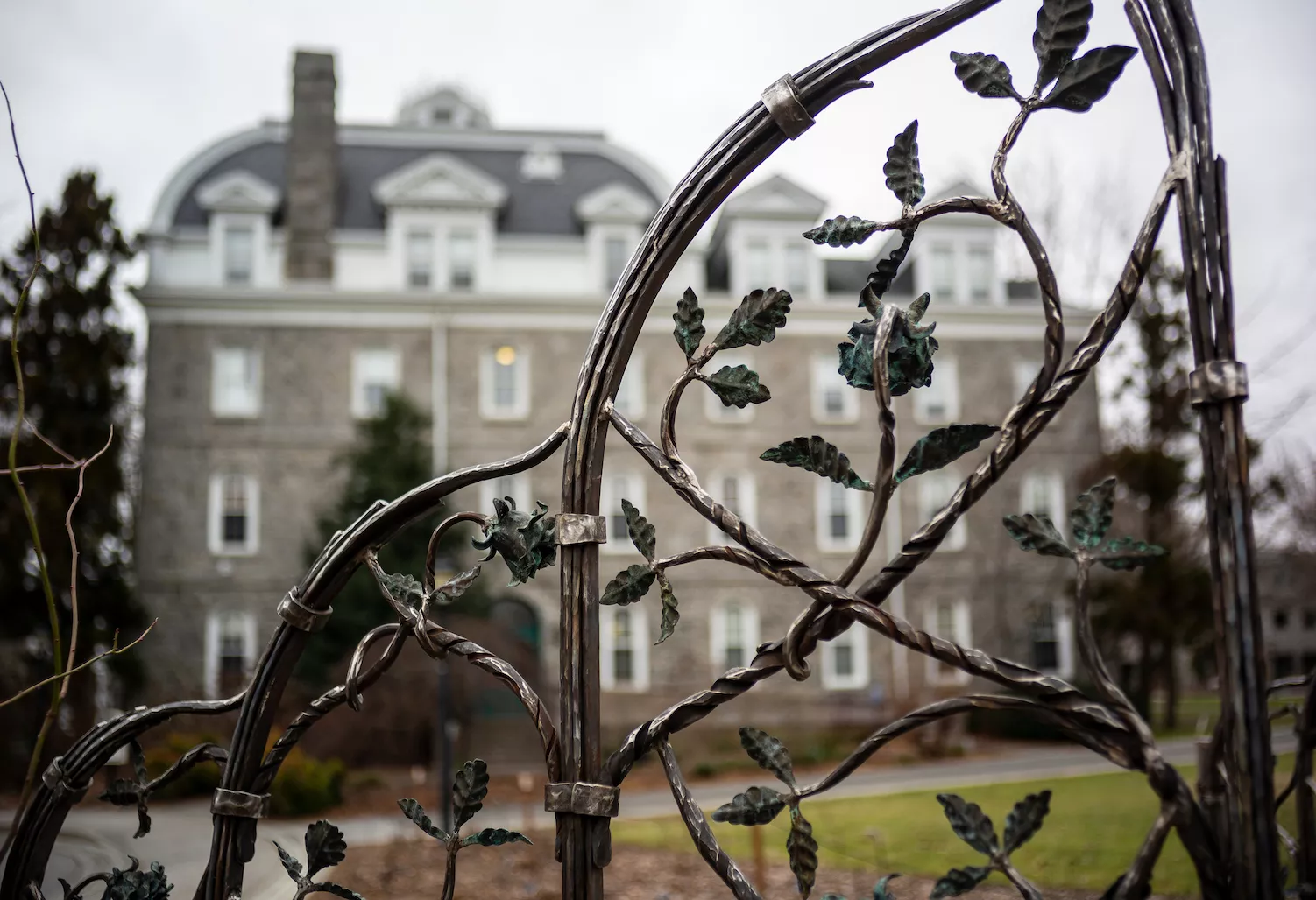rose garden