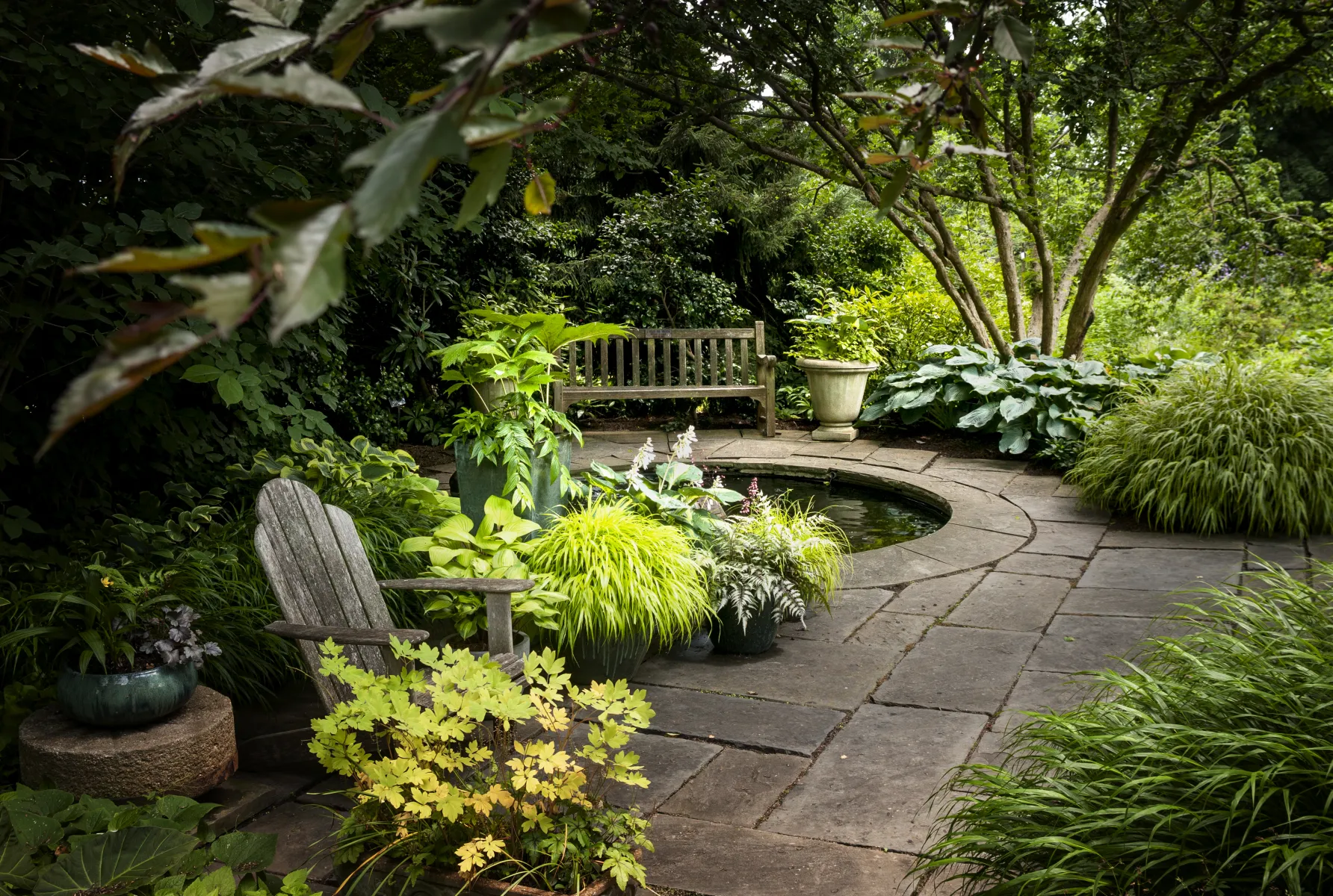 Koi Pond