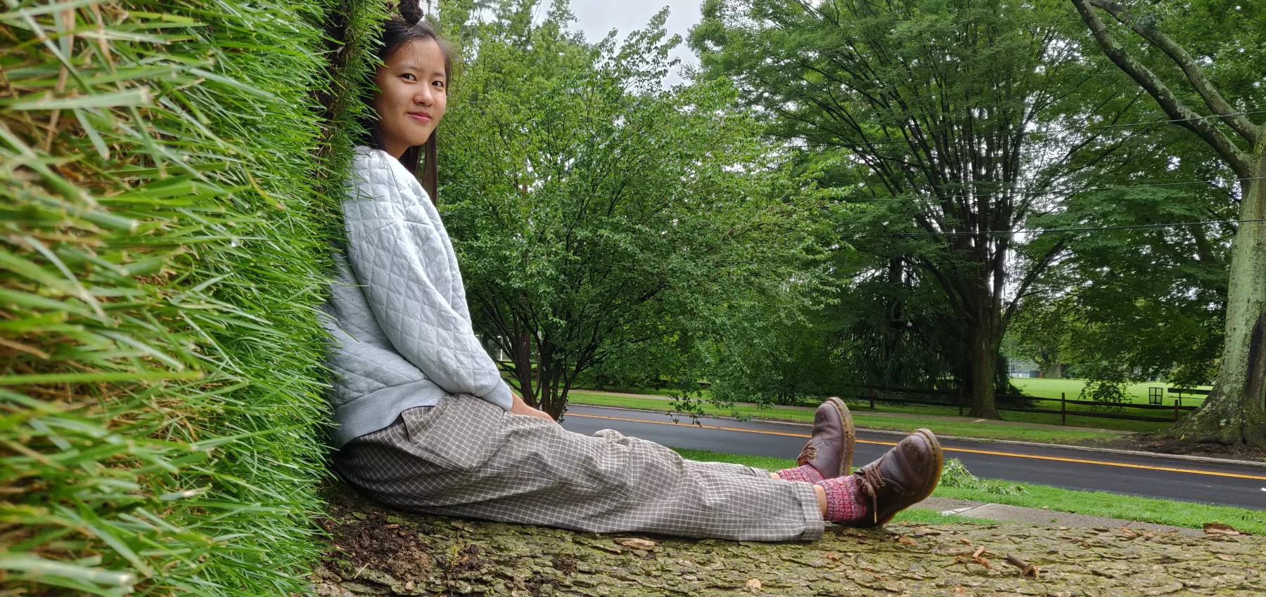 a grassy illusion