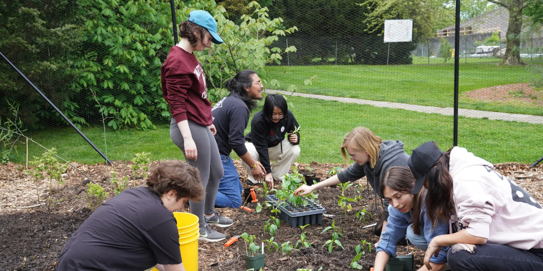 Image of students planting peppers in the Garden Collective