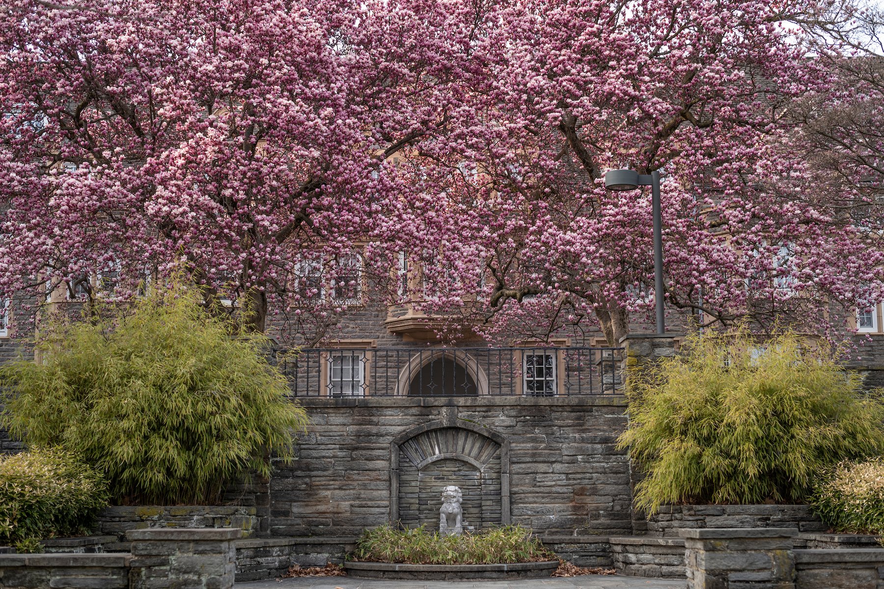 Swarthmore College Academic Calendar Spring 2022 Swarthmore Discussion Group :: Swarthmore College