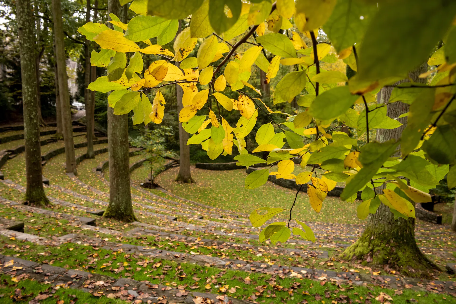 ampitheater