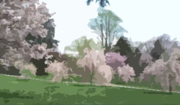 Lanscape painting of slopping hill and blooming trees