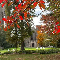 fall at swarthmore