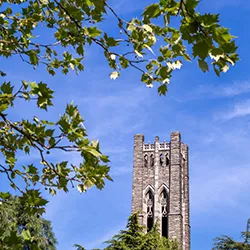 Clothier belltower in background with green leaves in foreground