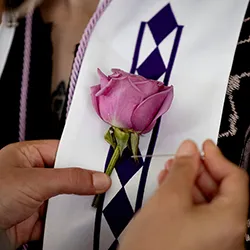 Hands pin rose on commencement stole