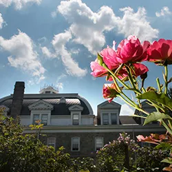 Parrish hall in background with pink flower blooming in foreground