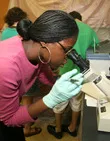 STEM