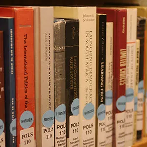 Row of library books on shelf
