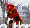 phoneix taking the R