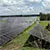 Solar panel array in field underneath blue sky